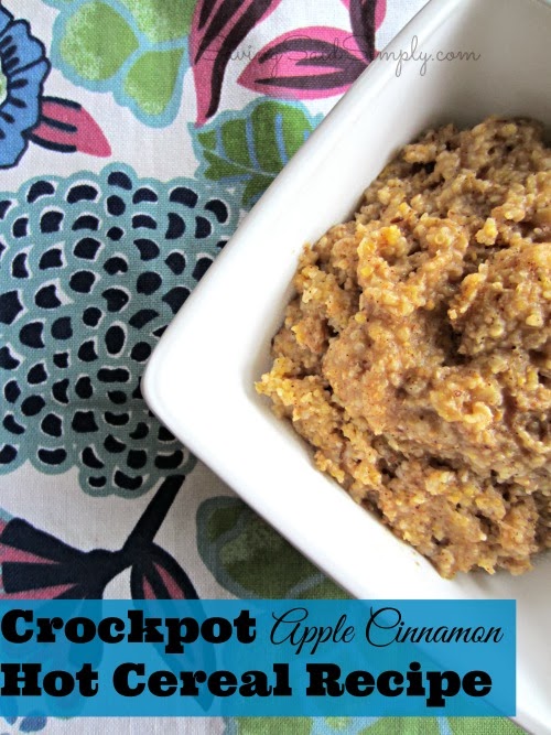 Crockpot Apple Cinnamon Hot Cereal Recipe - Raising Whasians crockpot apple cinnamon hot cereal recipe