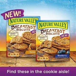 Nature Valley Breakfast Biscuits Review + Now at Publix! - Raising Whasians