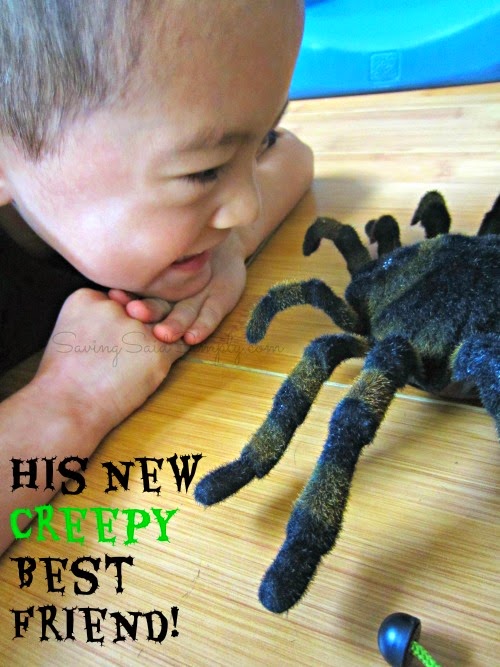 Animal Planet Real Scary Spiders App & Toy Review Animal Planet Real Scary Spiders Toy Review