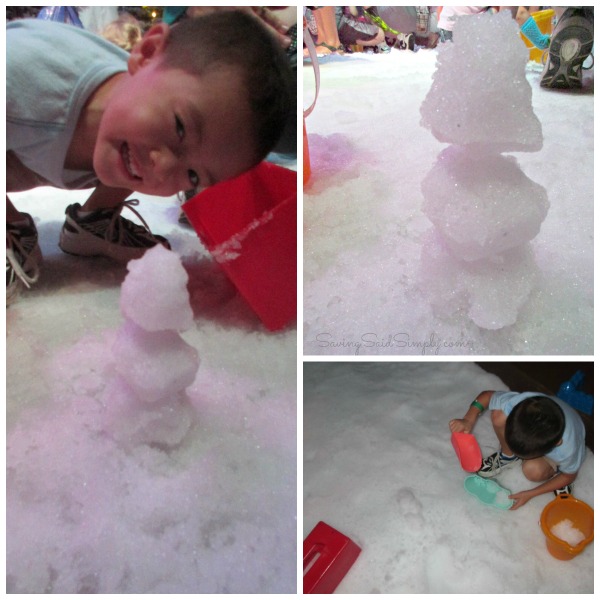 frozen-funland-snow