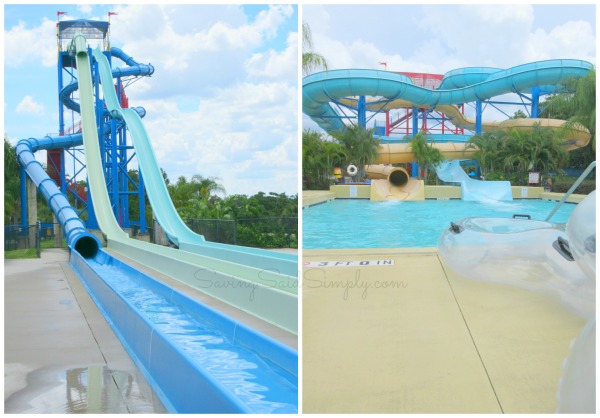 thrills-legoland-water-park
