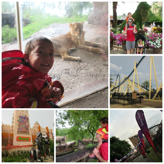 busch-gardens