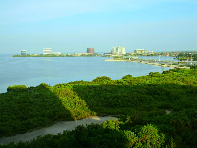 tampa-bay