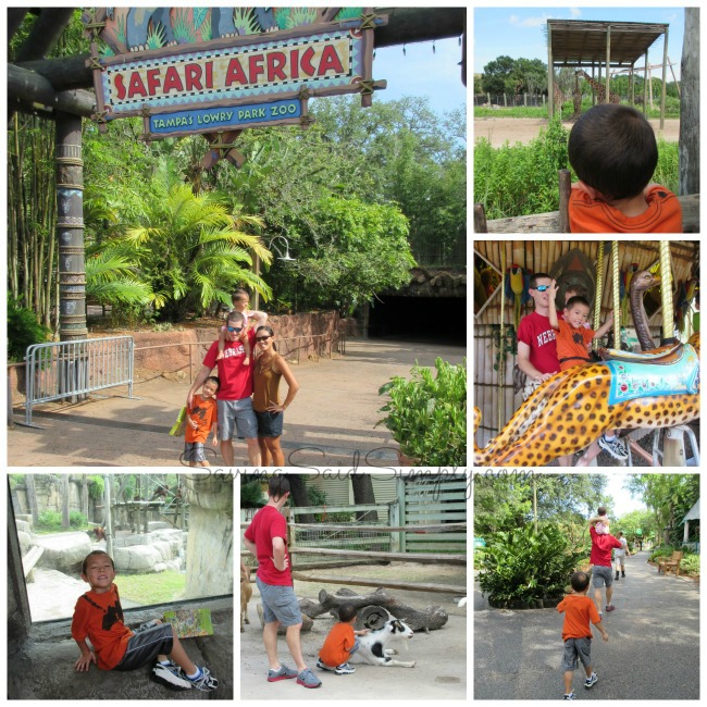 tampa-lowry-park-zoo