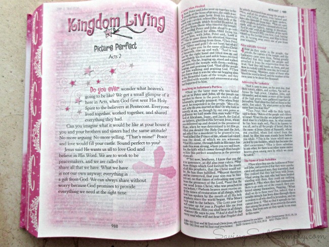 God's little princess bible