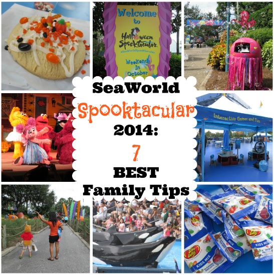 Seaworld spooktacular 2014 best family tips
