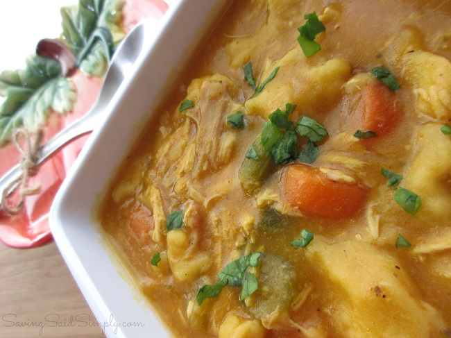 Chicken dumpling soup