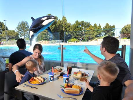 Dine with Shamu
