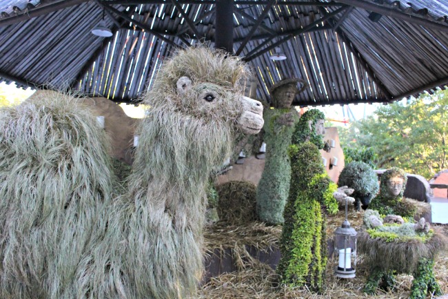 Busch gardens nativity