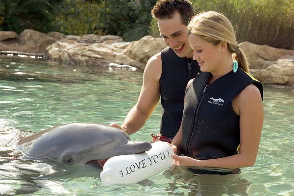 Discovery cove specials
