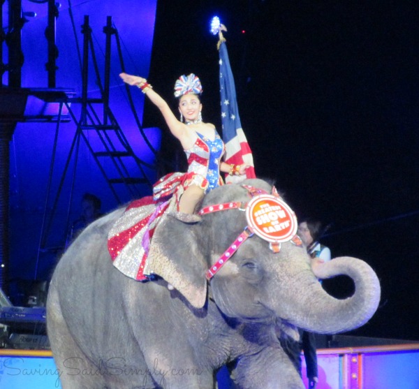 Ringling bros barnum bailey circus 2015