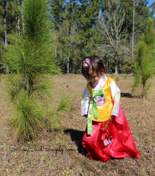 Korean traditional dress