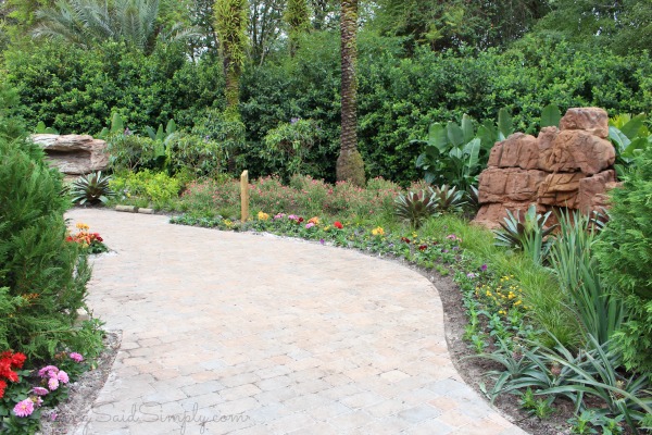 Botanas botanicos