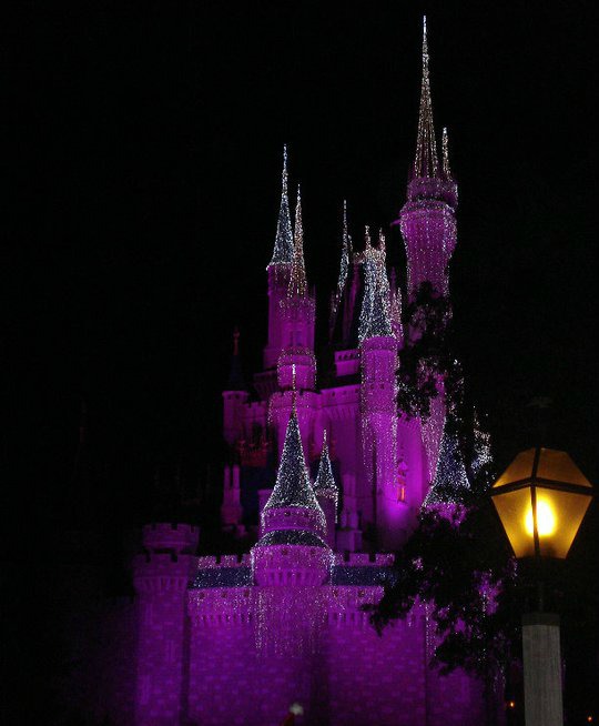 Disney social media moms invite