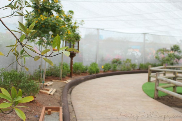 Epcot butterfly garden