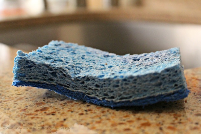 How-to-clean-sponge