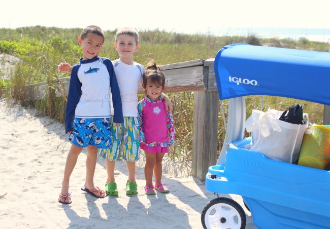 Kids beach wagon