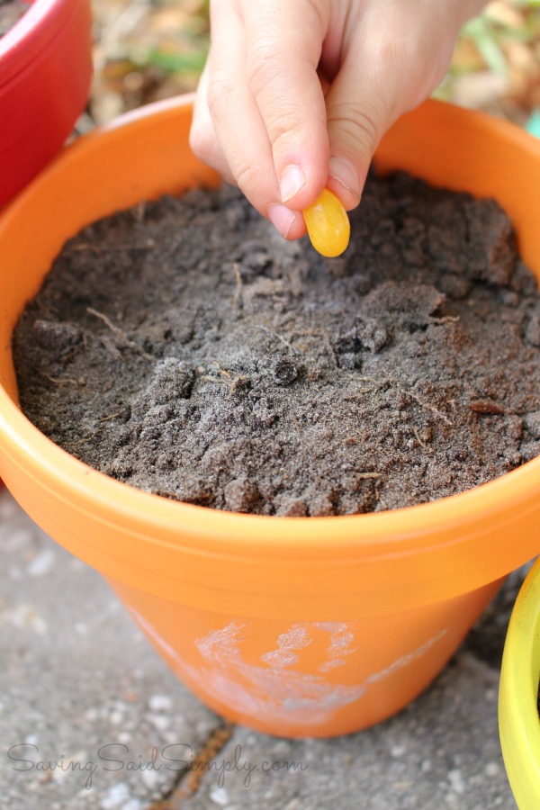 Kids garden idea