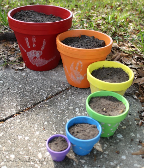 Kids garden