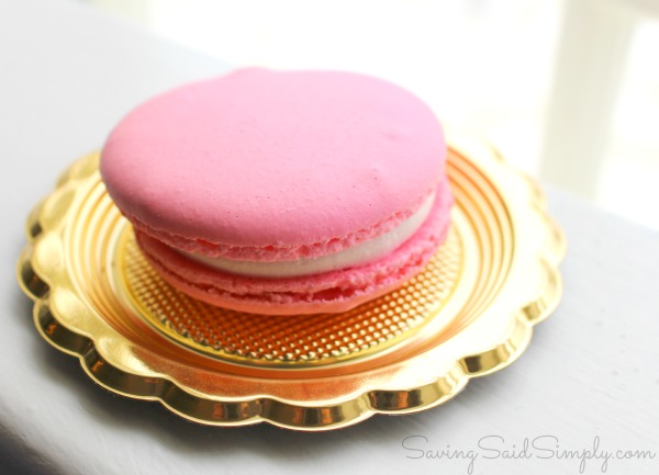 Pink macaron Epcot