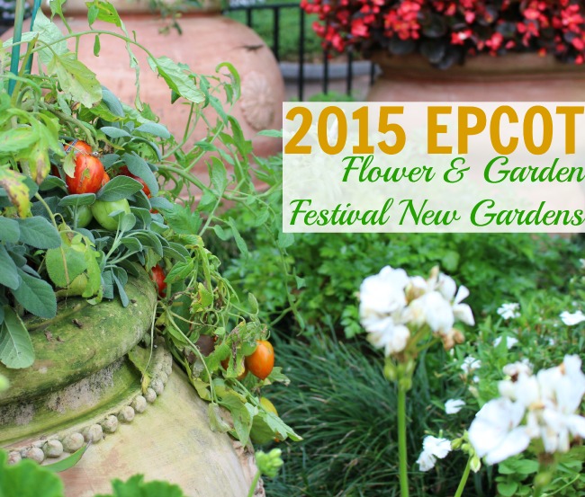 2015 Epcot flower garden festival new gardens