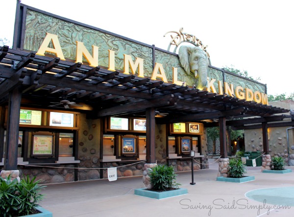 Animal kingdom backstage tour tips