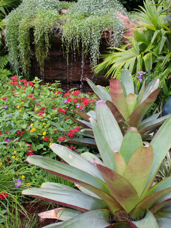 Best of 2015 Epcot flower garden festival