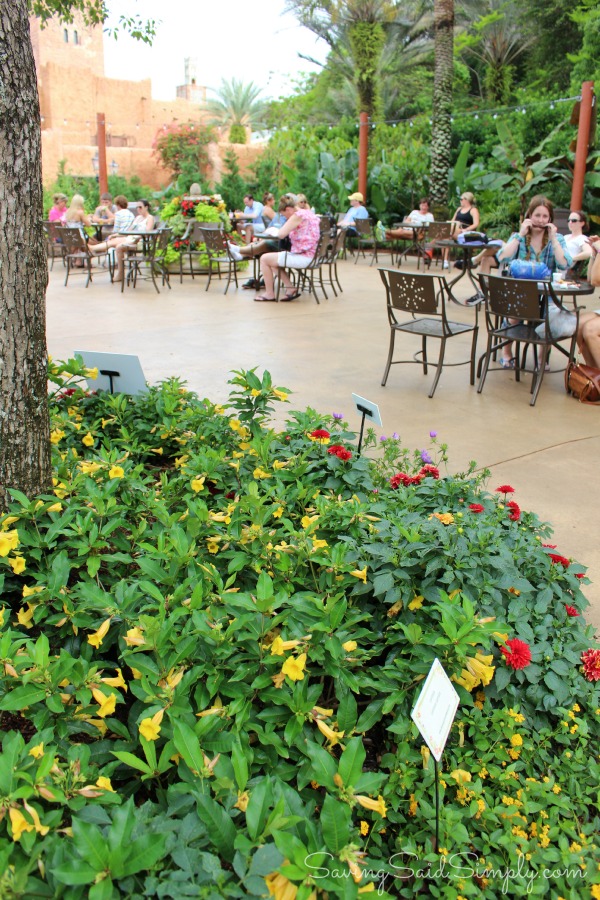 Botanas botanico epcot