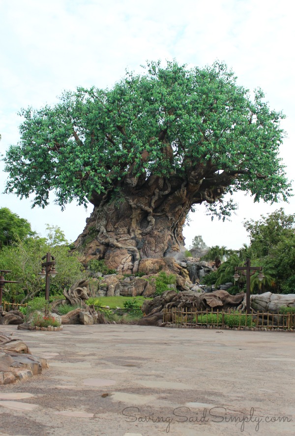 Disney animal kingdom tree of life