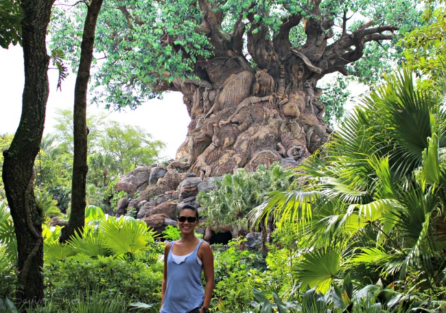 Disney animal kingdom
