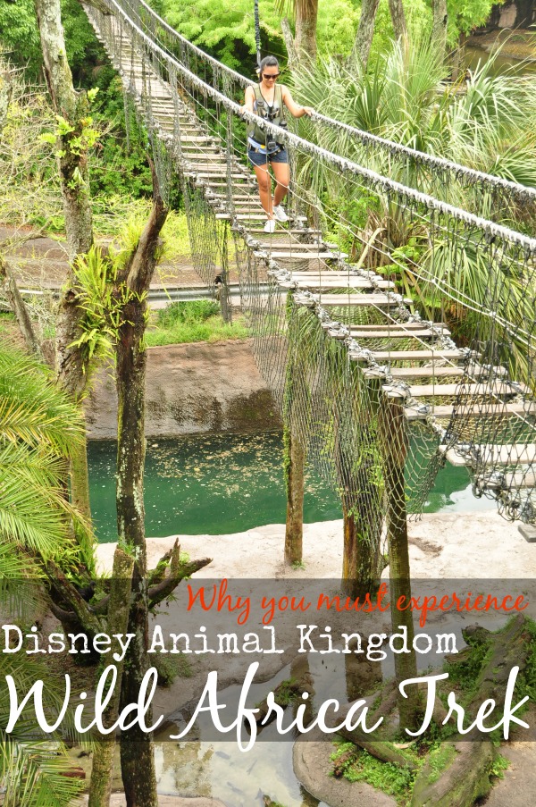 Disney wild Africa trek review