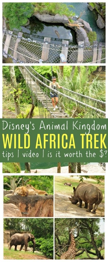 Disney wild Africa trek review pinterest