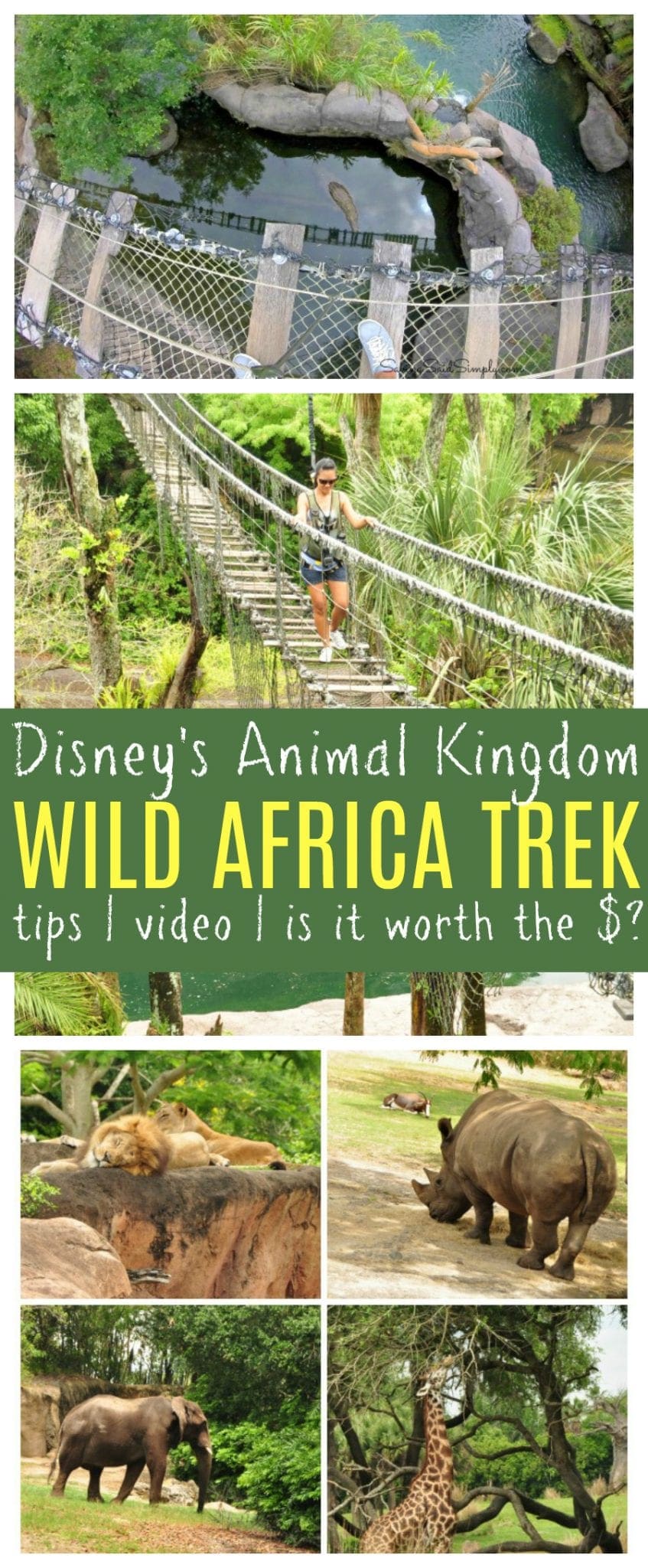 Disney wild Africa trek review pinterest