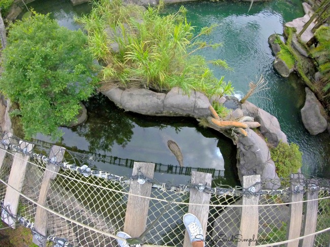 Disney world wild Africa trek