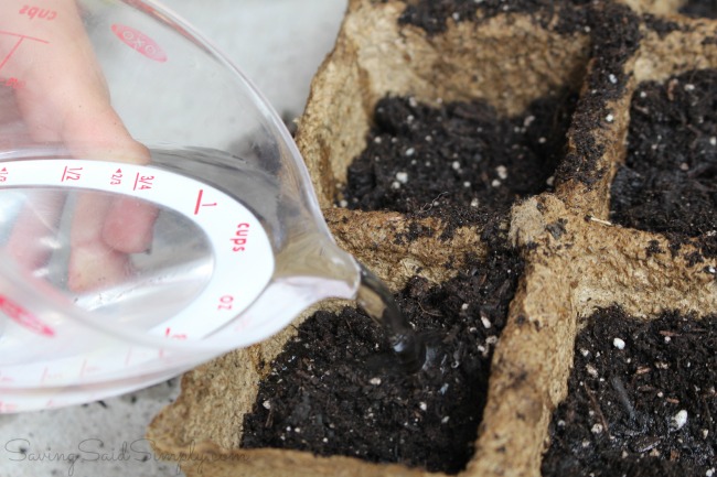 Kids gardening tips