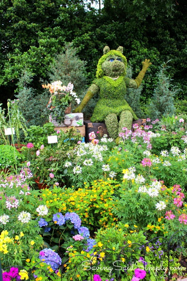 2015 EPCOT Flower & Garden Festival | Best New Gardens