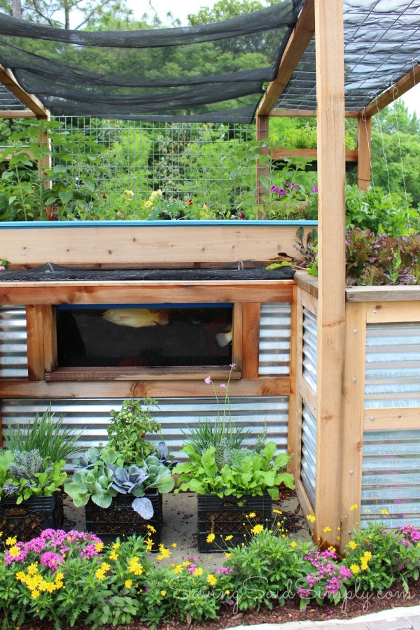 Urban farm eats epcot