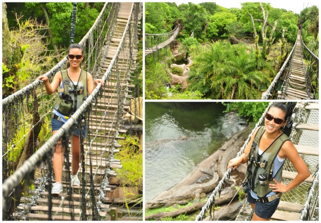 Wild Africa trek Disney