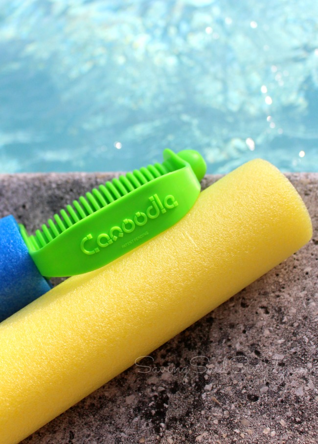 Canoodle toy review