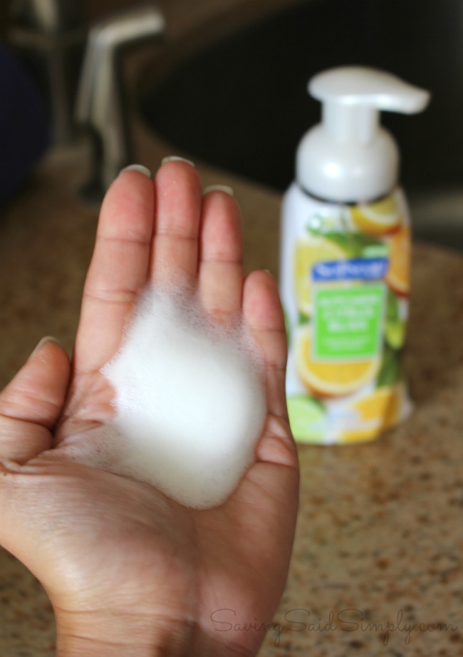 Softsoap Fragrant Foaming Hand Soap Collection Review