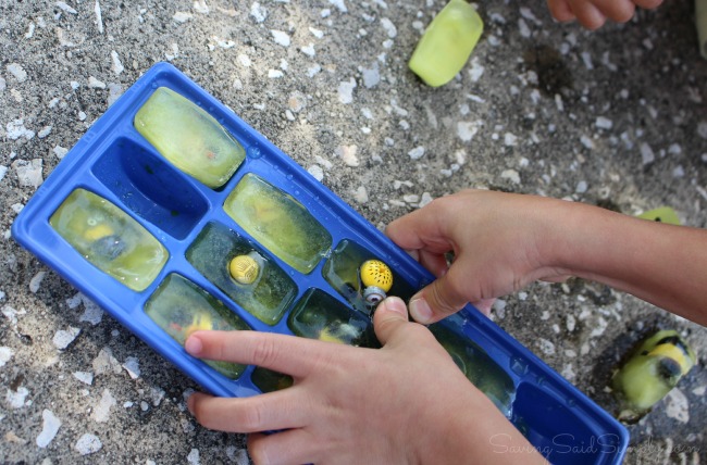 Kids ice sensory play