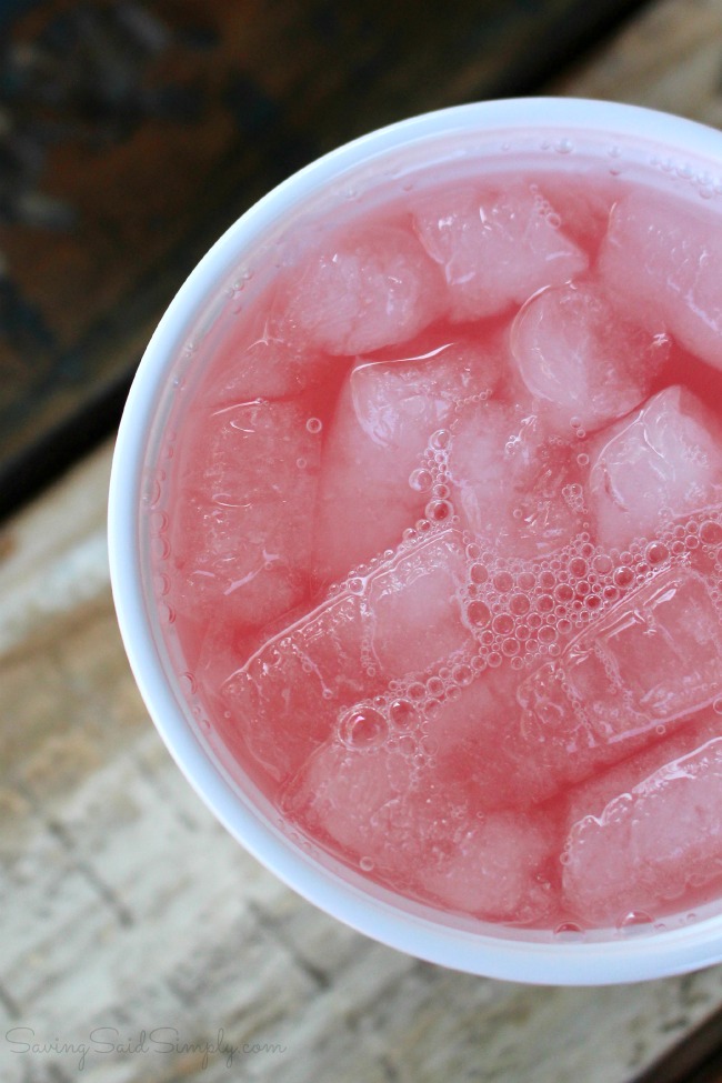 Disney animal kingdom watermelon lemonade