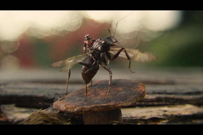 Marvel ant-man movie review