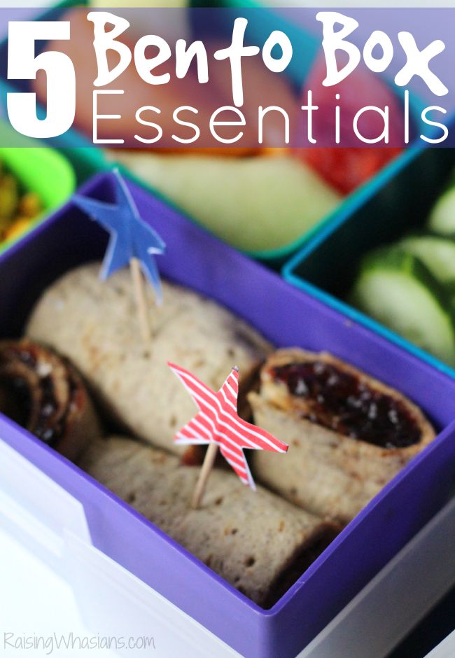 5 Bento Box Essentials for School Lunch Success