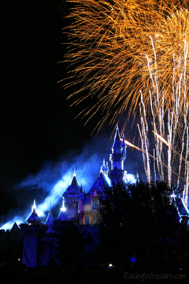 Disneyland fireworks