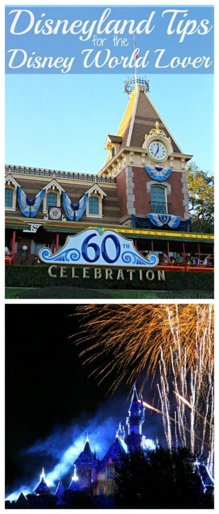 Disneyland tips Disney world