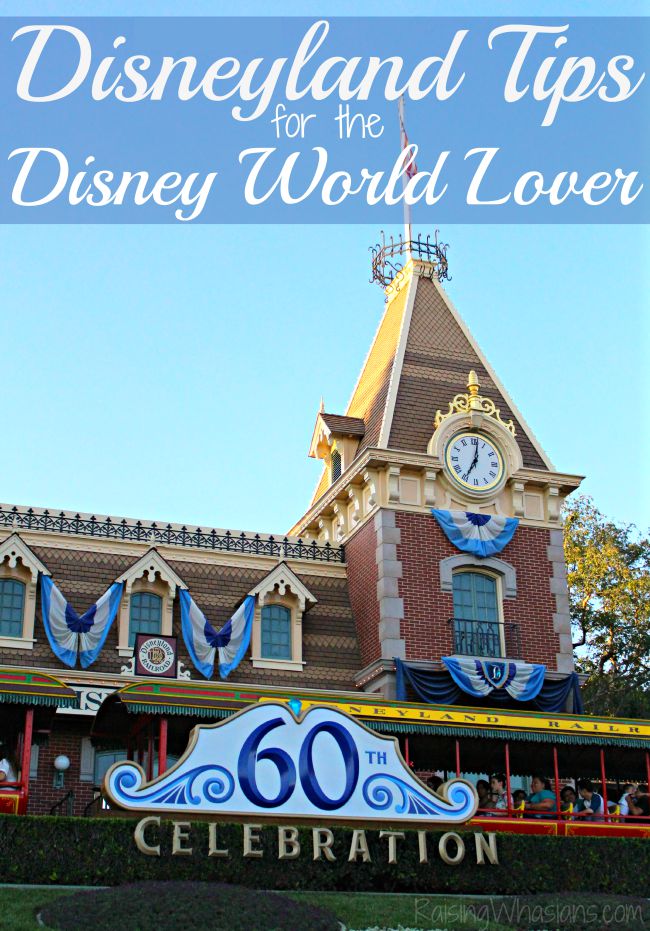Disneyland tips for the Disney world lover