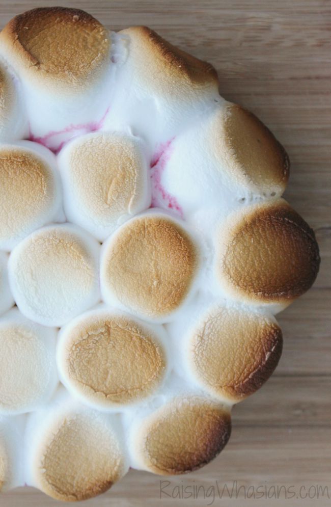 Easy Smores Dip Recipe with Raspberries | Make this delicious s'mores inspired dessert in minutes! Chocolate, marshmallow & graham crackers for dipping! #Dessert #Recipe #SummerRecipe 