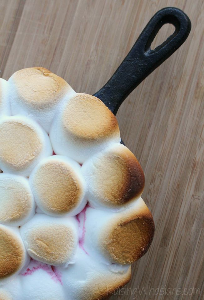 Easy Smores Dip Recipe with Raspberries | Make this delicious s'mores inspired dessert in minutes! Chocolate, marshmallow & graham crackers for dipping! #Dessert #Recipe #SummerRecipe 