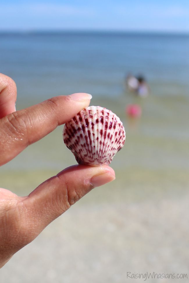 Best Sanibel for families